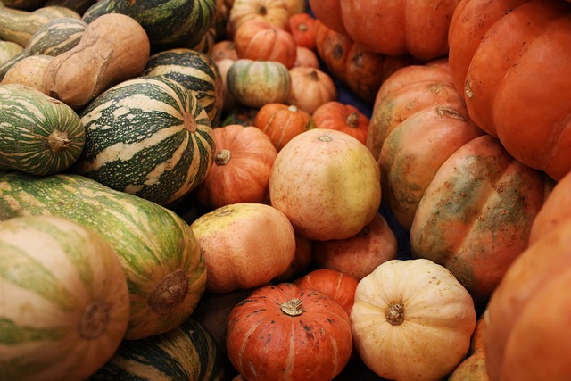 How to grow Pumpkins