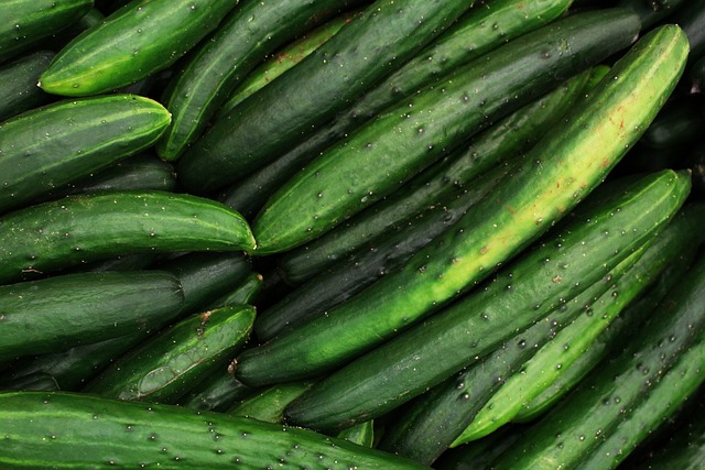 how to grow cucumbers