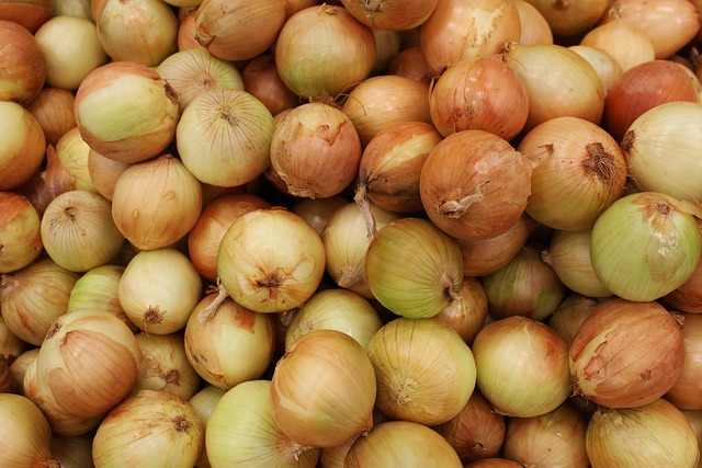 how to grow onions